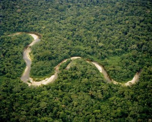Aerial Photos from a Cessna above the Amazon near Shell