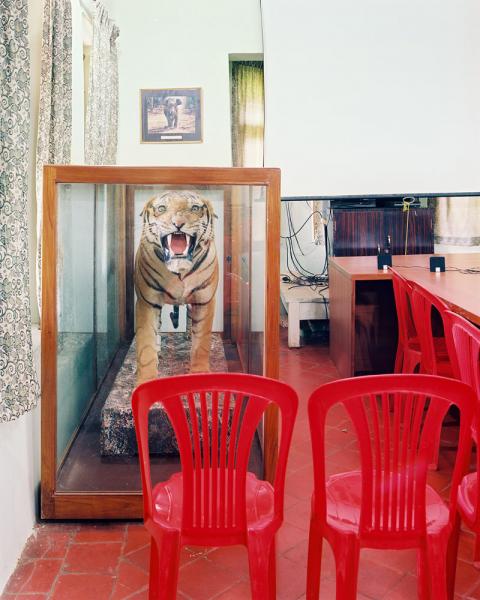 The closest you will actually get to a tiger at the Kabini Jungle Lodge in Karnataka Province, India.